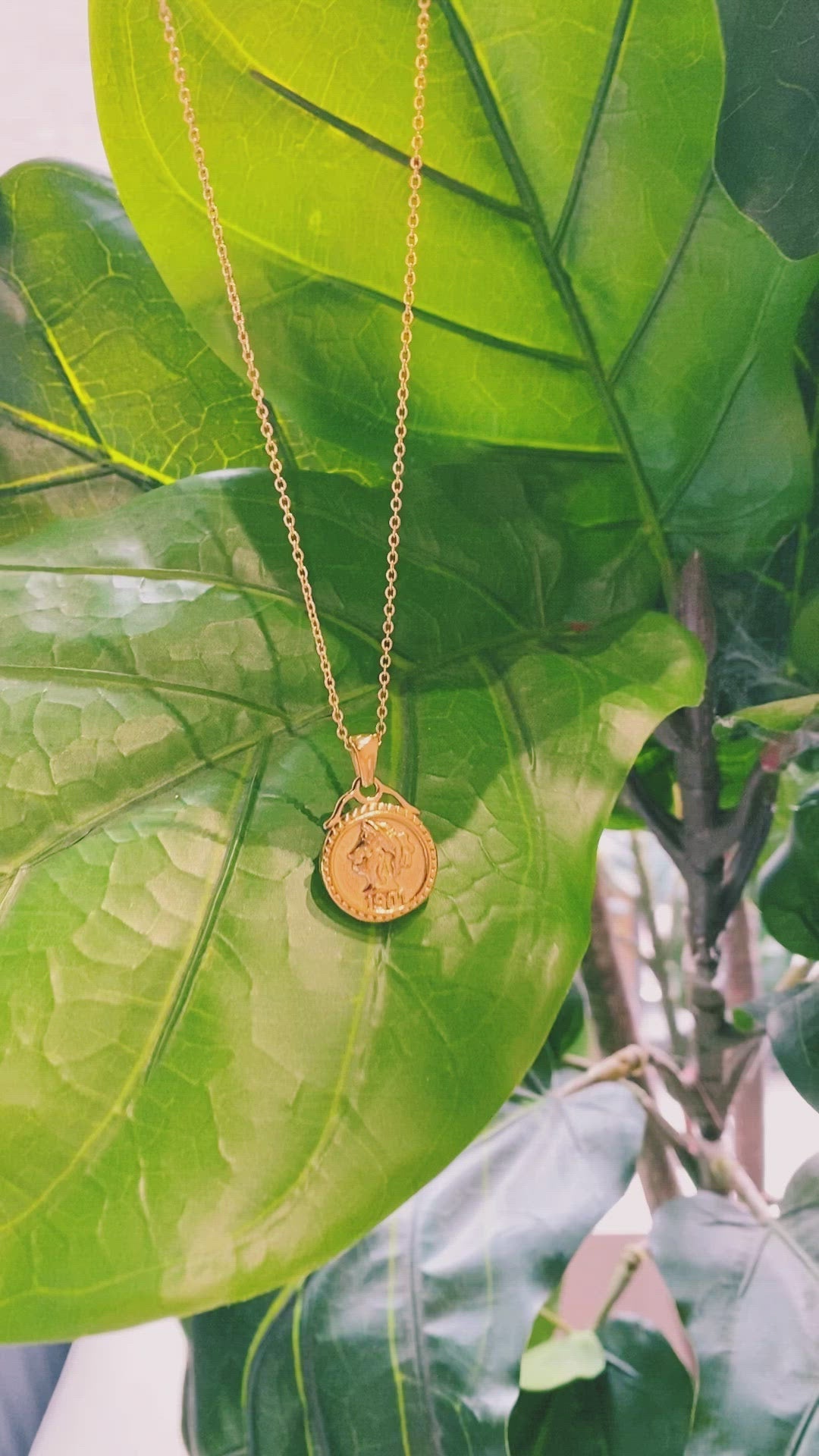 Feminine Coined Necklace